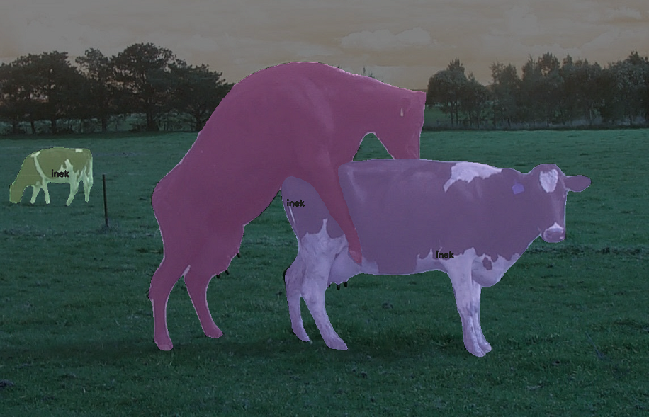 yapay zeka inek kızgınlık takibi